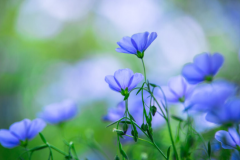 [别墅设计]潘顿于2018年发表色彩，神秘的紫色是