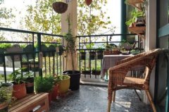 清明踩到了绿色！你为什么不装饰那个？