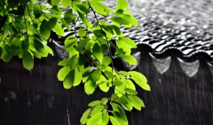 (欣赏高级别墅设计案例)太湖金秀贤花园别墅设计