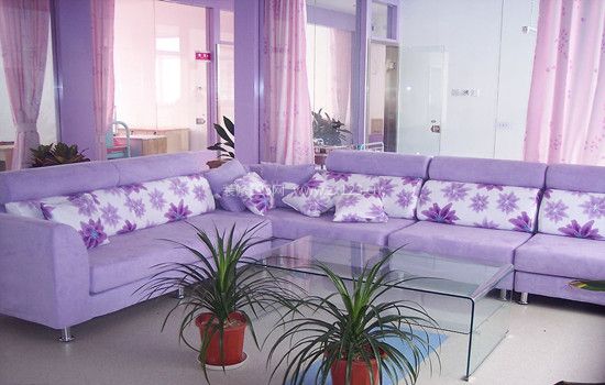 紫色客厅装修效果图