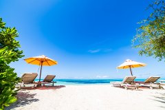 家居装饰，女性的另一种时尚