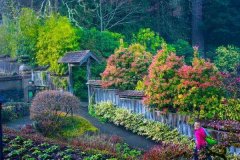 为您设计的别墅花园装饰方案