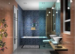 你家有独立的干湿浴室吗？干湿分离有什么好处