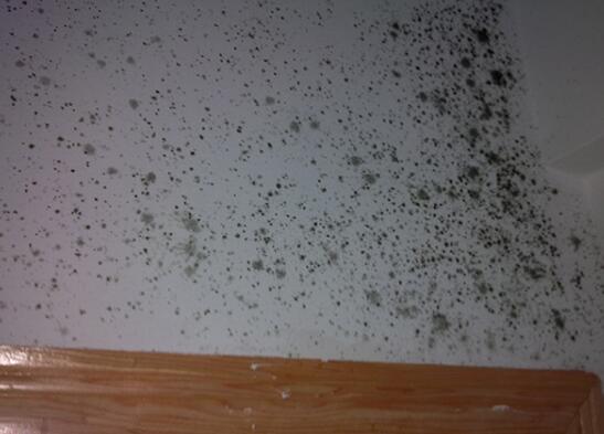 重庆设计师工作室